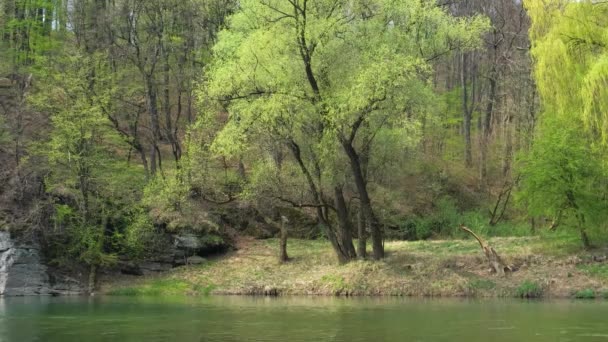 Rivière et forêt sur un rivage rocheux .