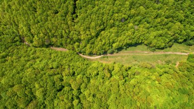 Orman ve yol hava manzarası.