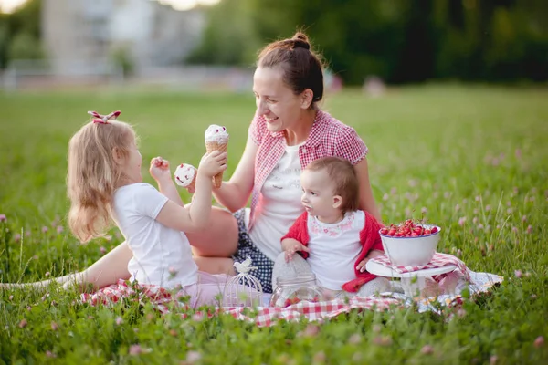 Pique-nique familial avec crème glacée — Photo