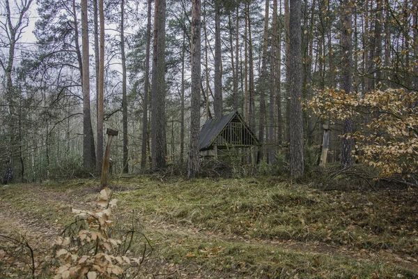 Alimentador de animais de refúgio de vida selvagem no meio da floresta — Fotografia de Stock