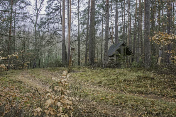Wildtierauffangstation mitten im Wald — Stockfoto