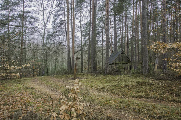 Wildlife refuge zwierząt podajnik w środku lasu — Zdjęcie stockowe