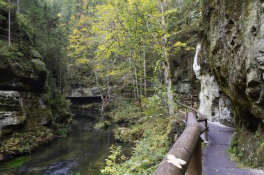 Gorges in Czech Switzerland on the Kamenice River, district Decin. The Edmund Gorge in Czech-Saxon switzerland national park, Czech republic, Europe