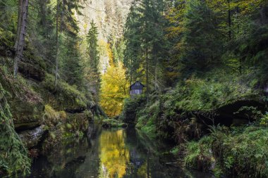The picturesque house surrounded by a forest dark forest in the gorge depth rises above the quiet water of forest river. The cottage among spring forest in the gorges of the Czech Switzerland. Colored