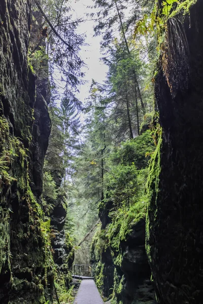 Parque Nacional Adrspach Rock City Skalne Mesto República Checa Europa —  Fotos de Stock