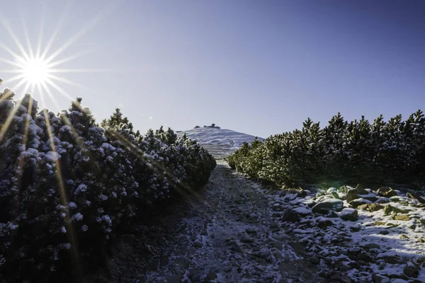 Schneekoppe Oder Schneekoppe Der Höchste Berg Der Tschechischen Republik Riesengebirge — Stockfoto