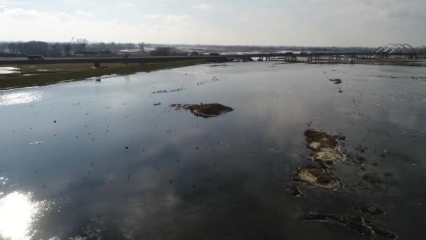 4K航拍照片 水鸟在洪水泛滥地带休息的地方 — 图库视频影像