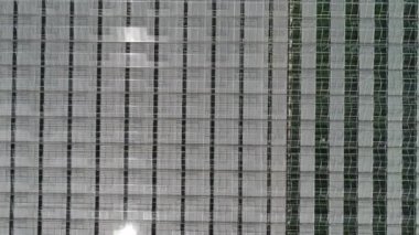 Kuş bakışı kocaman seralar.