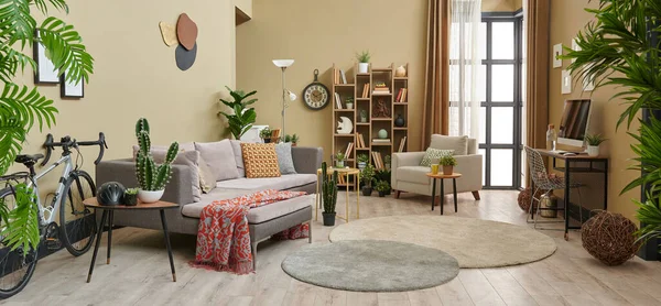 装飾的な茶色のリビングルーム グレーのソファと木製の本棚 カーテン カーペットの装飾 — ストック写真