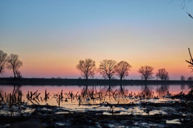 İlkbaharın başlarında nehirde güzel bir gün batımı                        