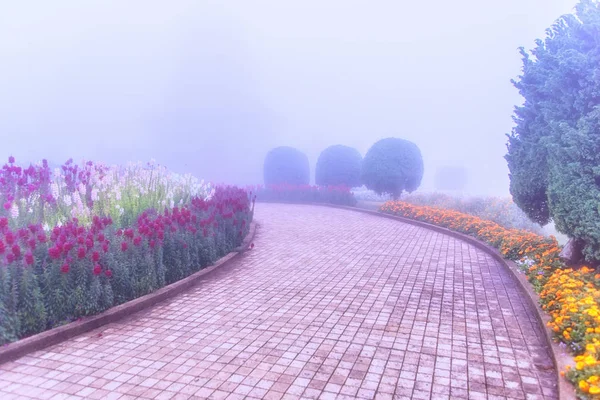 Gångvägen i dimman. — Stockfoto