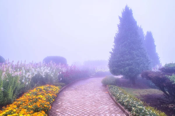 Jalan setapak dalam kabut . — Stok Foto