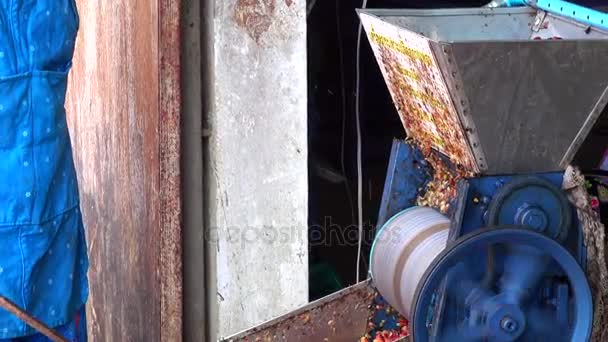 Éplucheur grains de café cru .