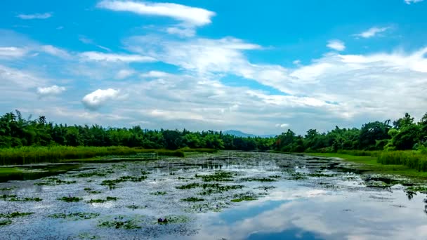 Bewegende wolken boven rustig lake. — Stockvideo