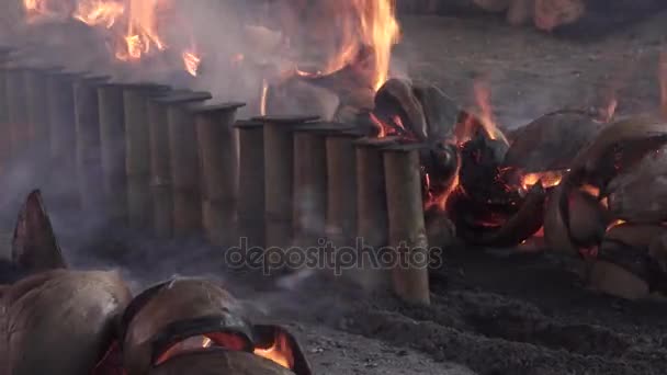 Bolos de bambu queimados . — Vídeo de Stock