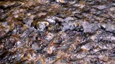 Taze nehir su rapids.