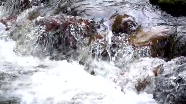 Éclaboussures d'eau. — Video