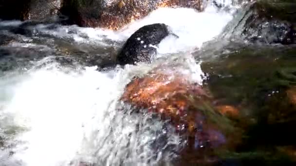 Wasserspritzer. — Stockvideo