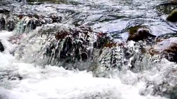 éclaboussures d'eau.