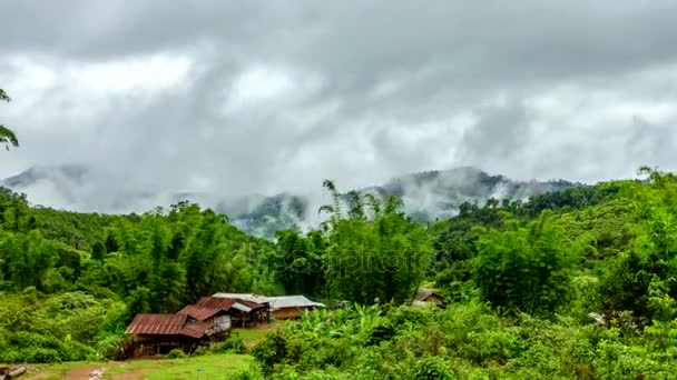 Brume souffle sur le village rural . — Video