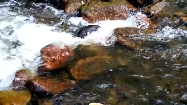 Spatten van water. — Stockvideo