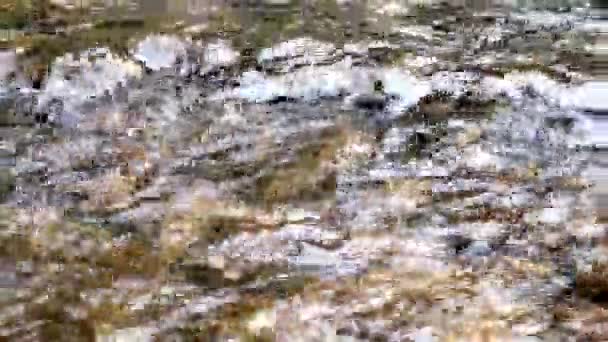 Rapides d'eau douce de rivière . — Video