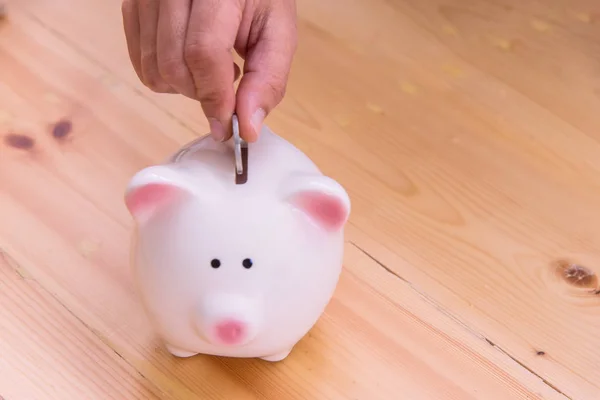 Piggy bank a container for saving money