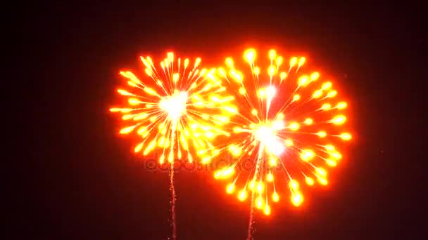 Brilhante fogos de artifício coloridos . — Vídeo de Stock