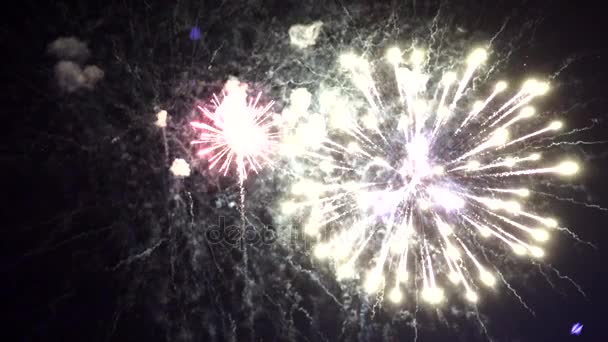 Affichage de feux d'artifice colorés brillants . — Video