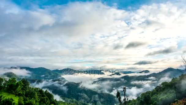 Niebla Paisaje de la Mañana . — Vídeo de stock