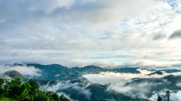 Niebla Paisaje de la Mañana . — Vídeo de stock