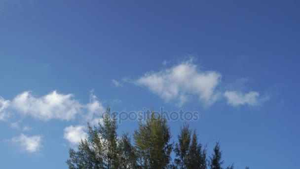 푸른 하늘에 대 한 모션 흰 구름. — 비디오