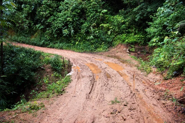 Hjulspår på en lerig väg. — Stockfoto