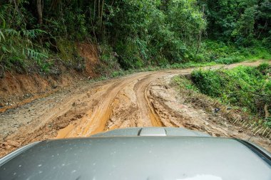 Lastik izleri bir çamurlu yolda.