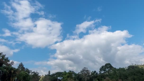 Zeitraffer Bewegung Weißer Wolken Vor Blauem Himmel Über Dem Baum — Stockvideo