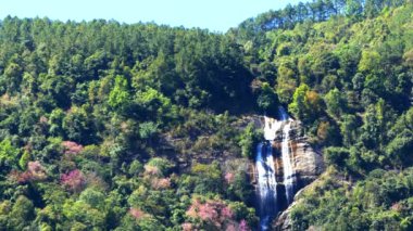 Siribhume şelale doi Inthanon, Chiang mai, Tayland, Thailand, en ünlü, taşlar ile güzel ipeksi şelale akışı. 