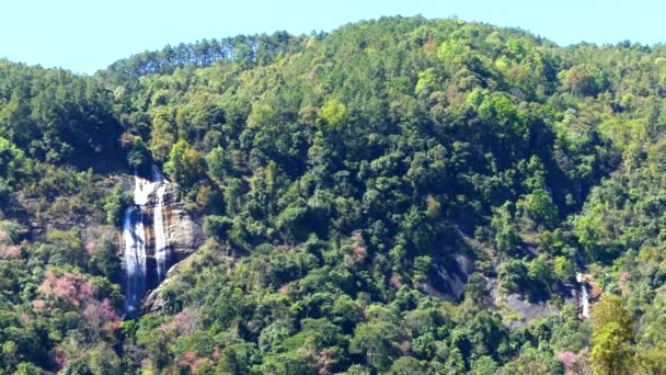 Siribhume Καταρράκτη Στο Doi Inthanon Τσιάνγκ Μάι Ταϊλάνδη Πιο Διάσημο — Αρχείο Βίντεο