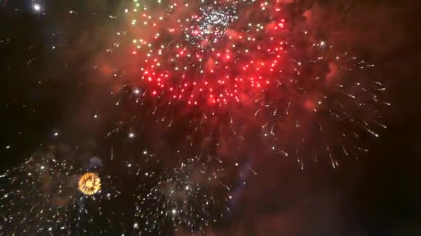 Coloridos Fuegos Artificiales Exhiben Noche Vacaciones — Vídeo de stock