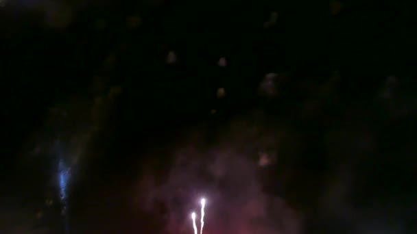 Farbenfrohes Feuerwerk Der Urlaubsnacht — Stockvideo