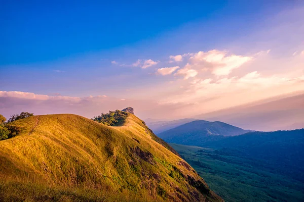 Красивый пейзаж золотой луг на горе Мон Чонг, Чиангмай — стоковое фото