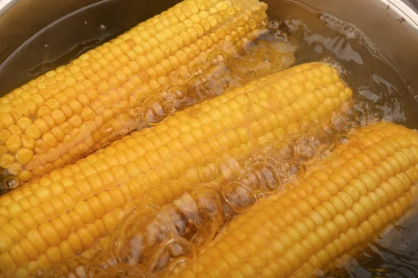 A few ears of corn are cooked in a saucepan. Healthy diet. Fitness diet. For a sweet treat. Close up.