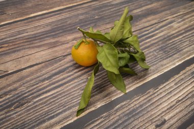 Dal üzerinde sarı bir mandalina ve ahşap bir arka planda yeşil yapraklar. Sonbahar hasadı. Modern tarım. Tatlı bir ikram için.