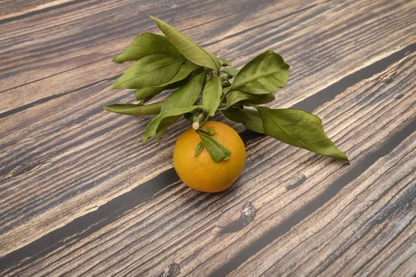 En gul mandarin på en kvist med gröna blad på en träbakgrund. Höstskörd. Modernt jordbruk. För ett sött godis. — Stockfoto