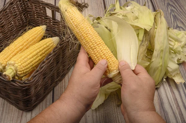 Hands of a man cleaning an ear of corn on a wooden background. Autumn harvest, Healthy food, Fitness diet. Close up. — Stock Photo, Image