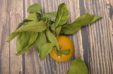 Dal üzerinde sarı bir mandalina ve ahşap bir arka planda yeşil yapraklar. Sonbahar hasadı. Modern tarım. Tatlı bir ikram için.