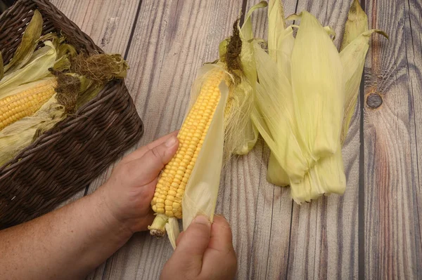 Руки человека чистят ухо от кукурузы на деревянном фоне. Осенний урожай, здоровая пища, фитнес-диета. Закрыть . — стоковое фото