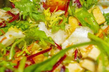 Domatesli sebze salatası, salatalık, tatlı biber, soğan, peynirli roka. Sağlıklı yiyecekler, fitness diyeti. Kapat..