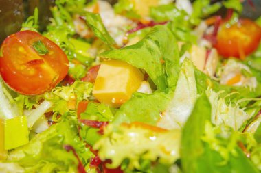 Domatesli sebze salatası, salatalık, tatlı biber, soğan, peynirli roka. Sağlıklı yiyecekler, fitness diyeti. Kapat..