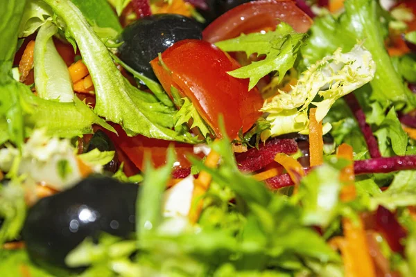 Sebze Salatası Dilimlenmiş Domates Havuç Pancar Marul Roka Zeytin Arkaplan — Stok fotoğraf