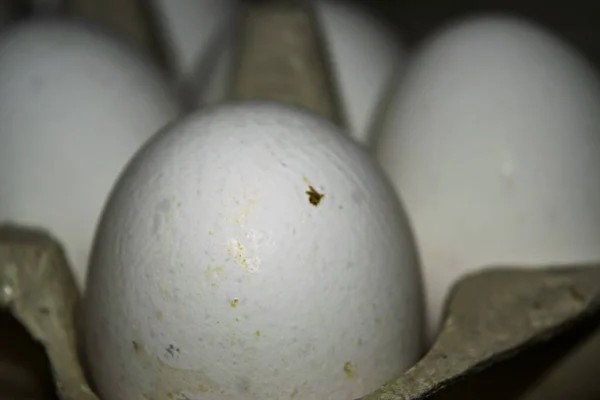 Chicken Eggs Cardboard Box Close — Stock Photo, Image